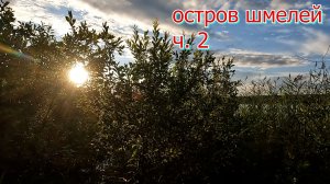 Остров шмелей ч. 2