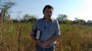 Верность Божьих обещаний