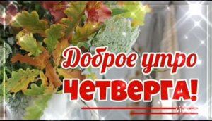*** С ДОБРЫМ УТРОМ ЧЕТВЕРГА ***