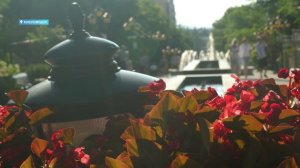 Новости Кисловодска от 19.08.2026 г.