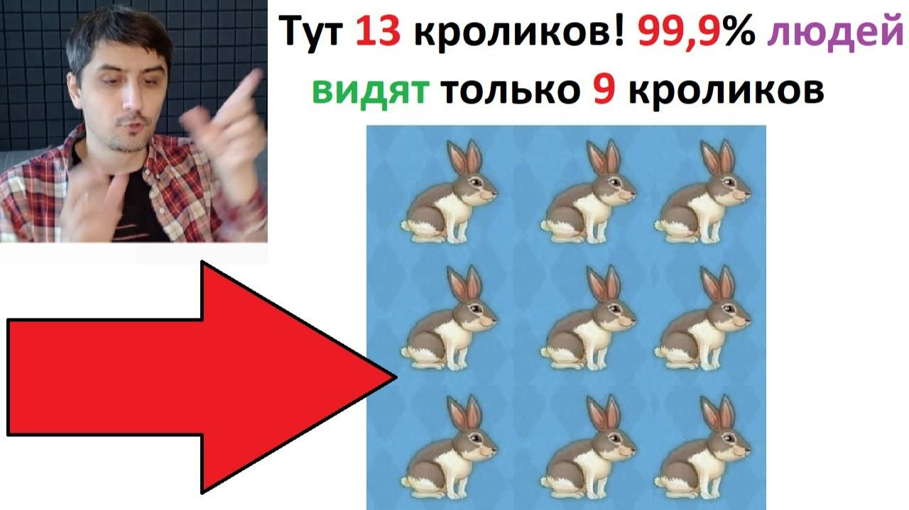Новые МЕМЫ. 99,9% людей видят тут только 9 кроликов