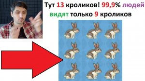 Новые МЕМЫ. 99,9% людей видят тут только 9 кроликов