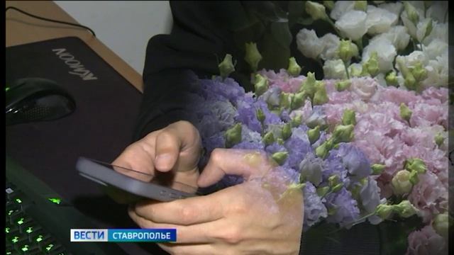 Мошенники придумали новую схему обмана к 1 сентября