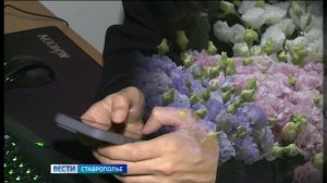Мошенники придумали новую схему обмана к 1 сентября