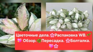 ЦВЕТОЧНЫЕ ДЕЛА.🌸🍀РАСПАКОВКА WB.🌸 ОБЗОР. 💖🌷ПЕРЕСАДКА. 🍀БОЛТАЛКА.🌺🌳