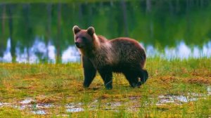 МУЗЫКА, ЧТОБЫ ЗАБЫТЬ ПРО СУЕТУ И ВЫДОХНУТЬ
