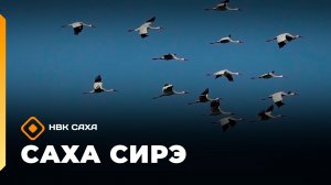 «Саха сирэ» информационнай биэрии. Атырдьах ыйын 19 күнэ 13.30