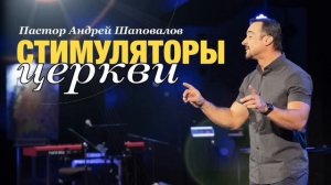 «Стимуляторы церкви» А. Шаповалов