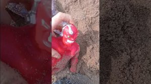 путешествие гуджитсу
