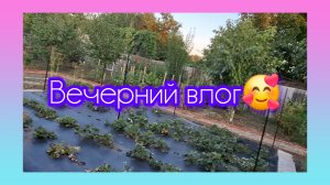 19-08-2026/Вечерний обход сада/ Жизнь семьи на юге/ Переезд на Кубань/