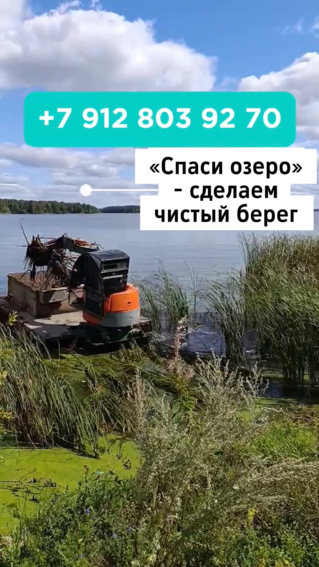 Очистили берег от камыша