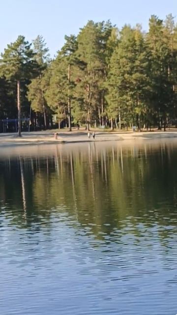 Сад,огород,природа