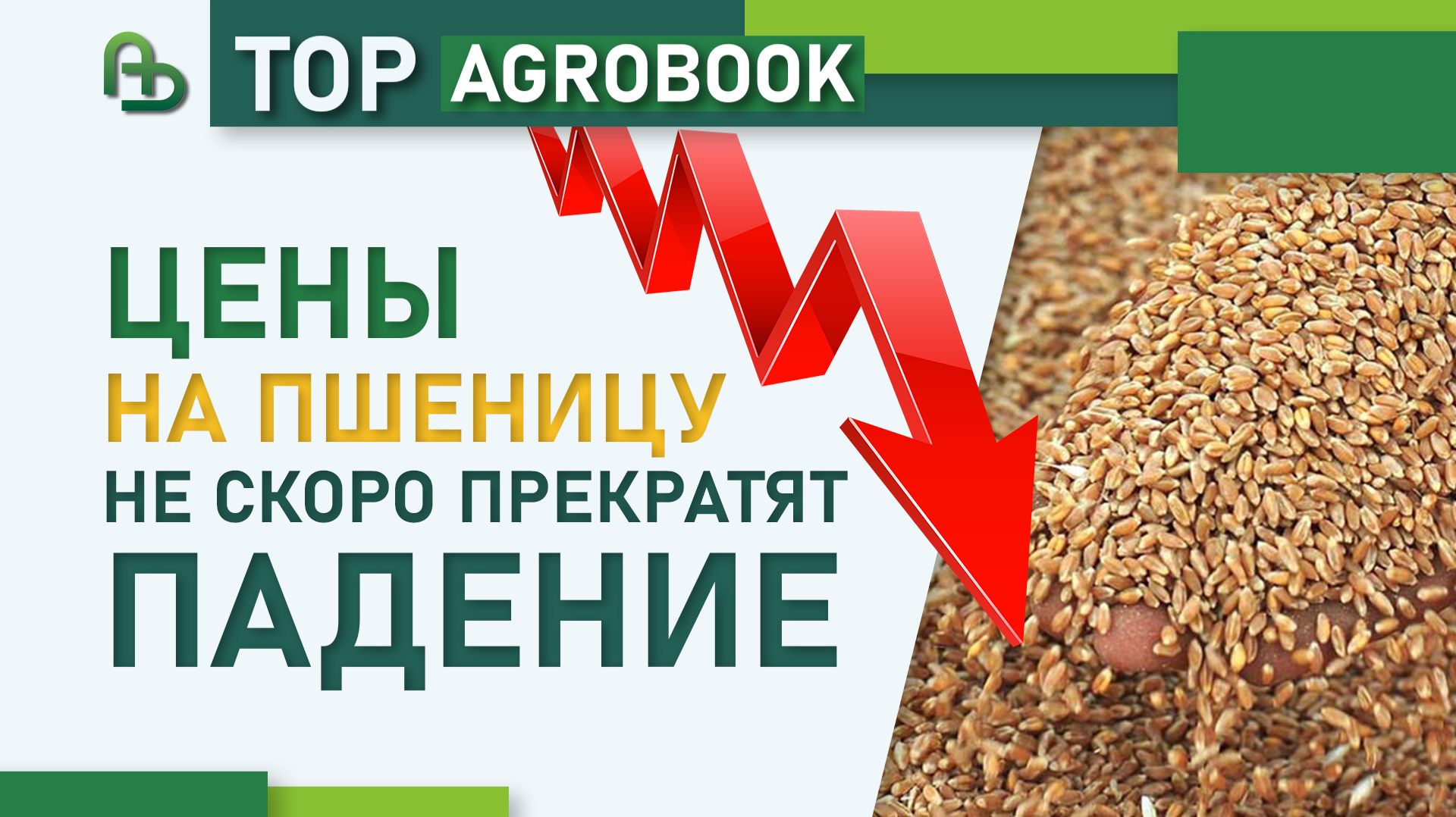 Цены на пшеницу не скоро прекратят падение | TOP Agrobook