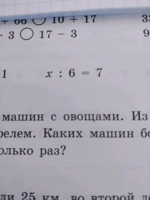 мы гуляем