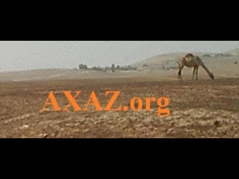 757. Verbs HIFJIL With The Last Root -ה, Present Tense