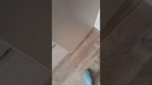 Как заварить  чай с кузнечиком