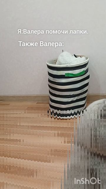 Валера момочи лапки...🤣