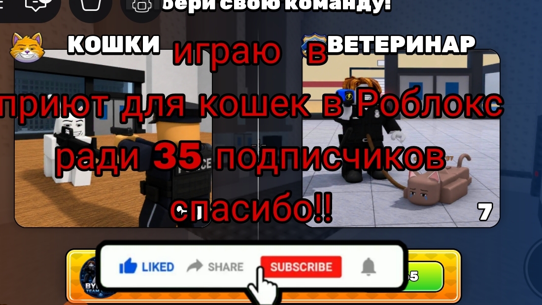 играю в приют для кошек ради 35 подписчиков подпишись
