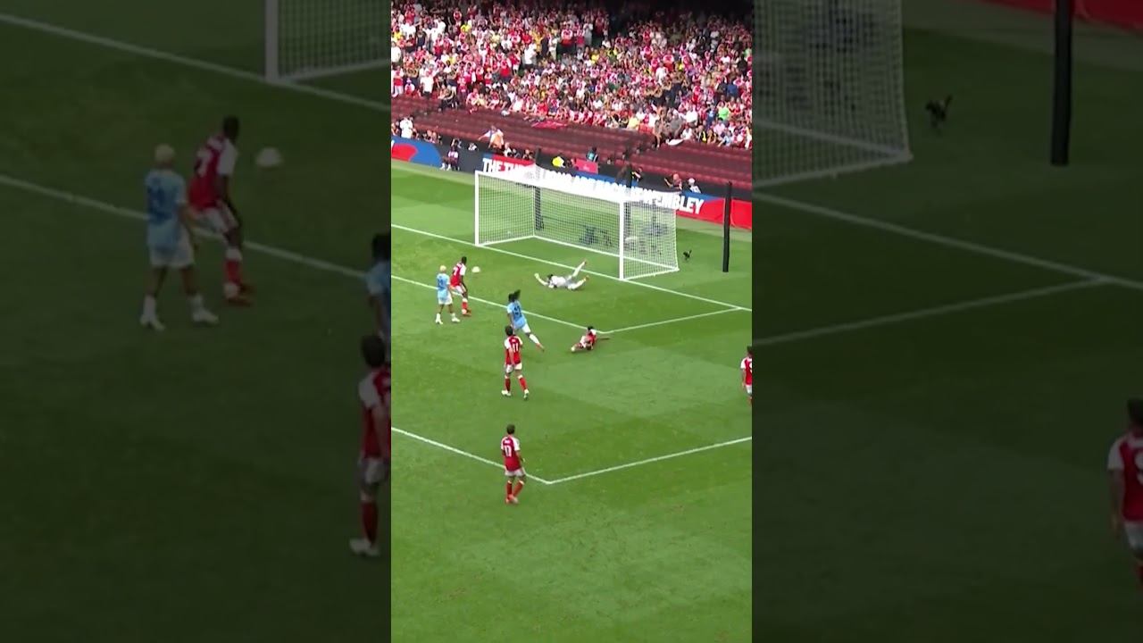 DAVID RAYA SUPER SAVE VS MAN CITY