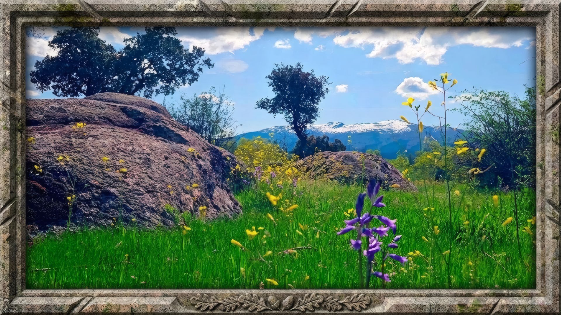 🌷🌞 Уютное весеннее утро | Звуки природы и пение птиц.