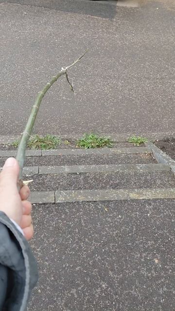 Смотрите с удовольствием