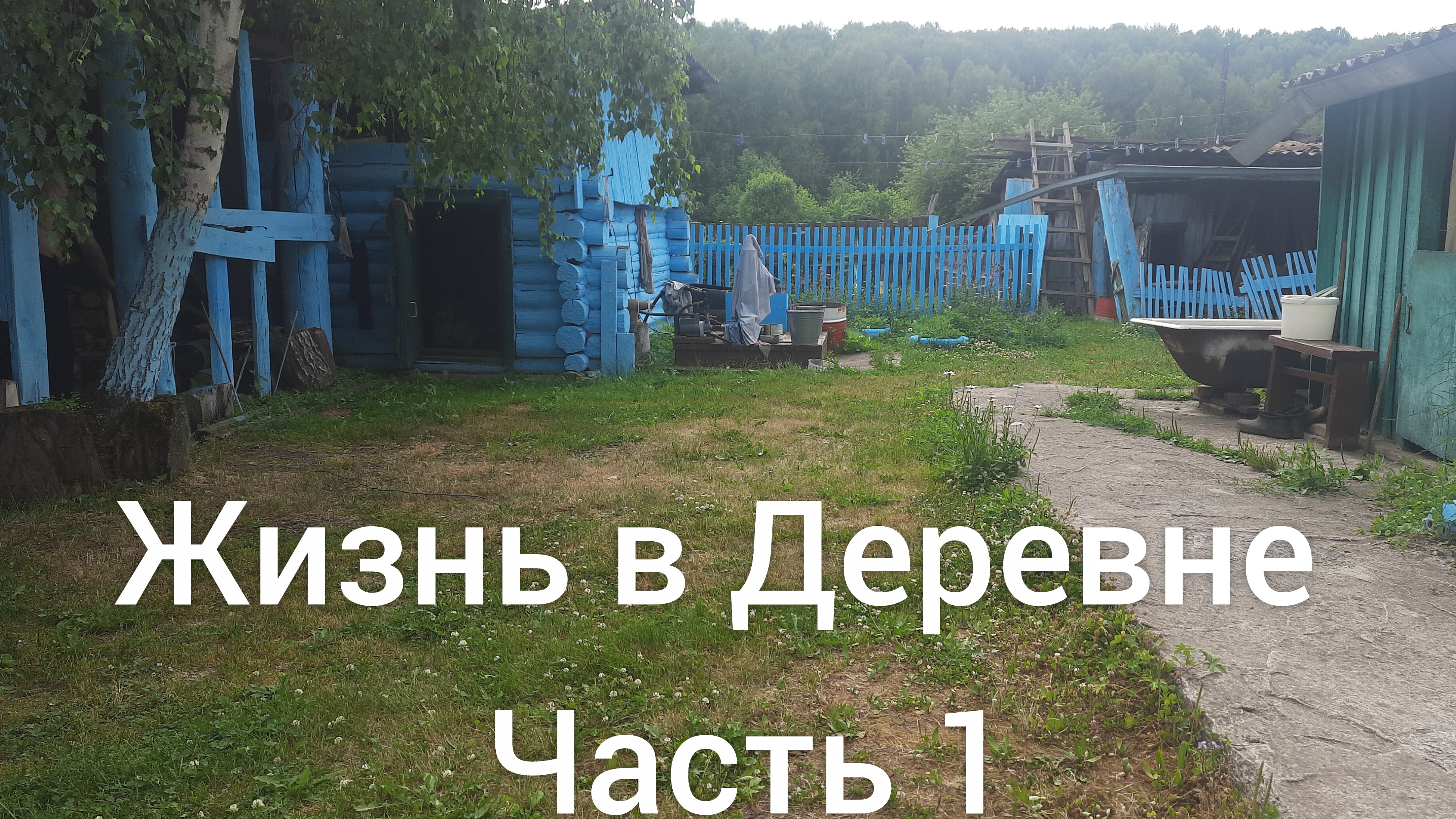 Жизнь в Деревне Часть 1