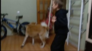 встреча коко моко и коко шады