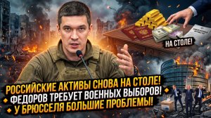 💣Себастиан Сас | Российские активы вернут? Федоров требует выборов! Брюссель в панике.