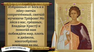 Молитва Святому Трифону. Православие