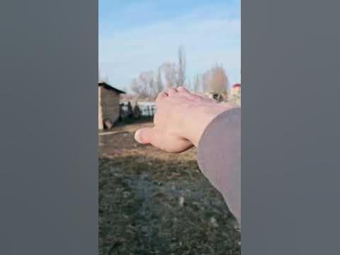 Боз-Бешик айылынан уй сатылат
