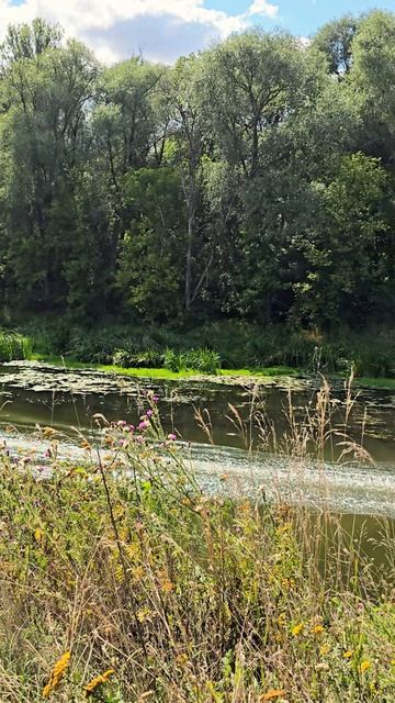 На реке Оскол, Новоивановка, Белгородская область