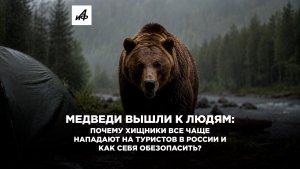 Медведи вышли к людям: почему хищники все чаще нападают на туристов в России и как себя обезопасить?