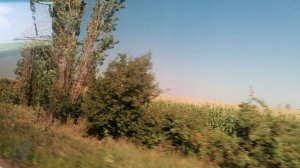 Мы в полях,у кого-то охота у меня другие интересы🤩