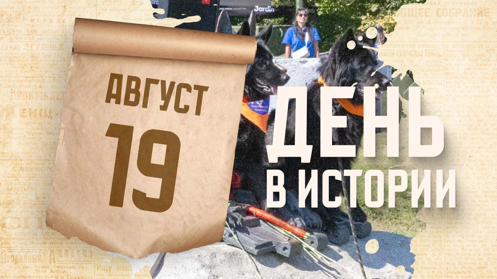 День фронтовой собаки. 