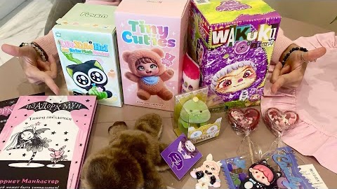 🍿 Распаковка игрушек и товаров из ТЦ Небо 1 часть!  Вакуку и утконос! Кто нам попался!!!