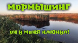 Мормышинг! Эта рыба тоже клюёт на мормо!!