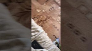 деревенская жизнь
