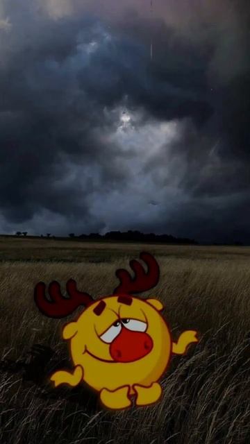 на круглой планете...