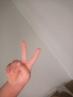 соня