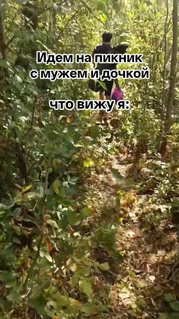я на пикник, муж на рыбалку