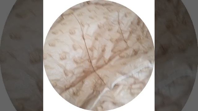 19-08-2026  одеяло класс спасибо
