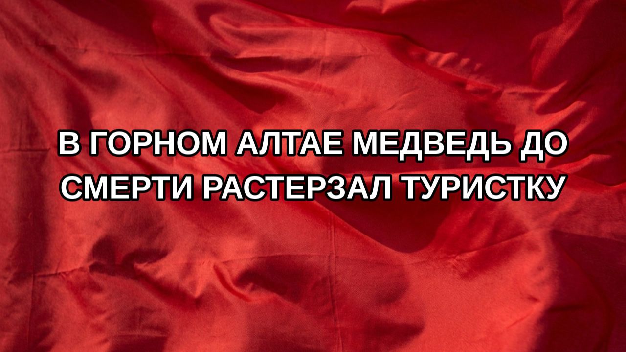 В Горном Алтае медведь до смерти растерзал туристку