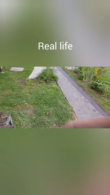 Standchillow Vs Real Life