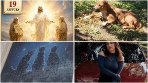 ЖИВАЯ СТРАШНАЯ ИСТОРИЯ🙏