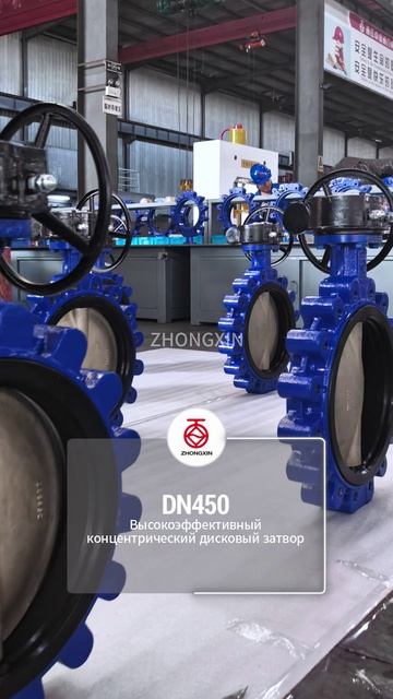~DN450 Высокопроизводительный концентрический диск