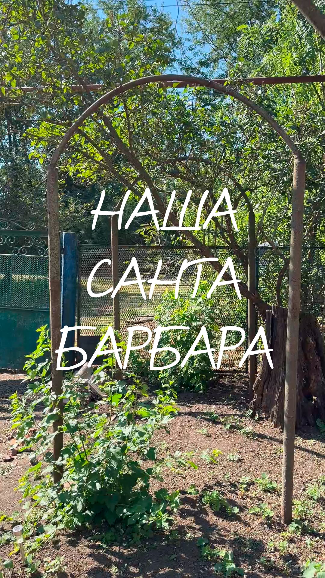 Наша Санта Барбара