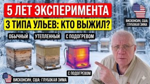 Греть или не греть пчел? Итоги 5 лет испытаний