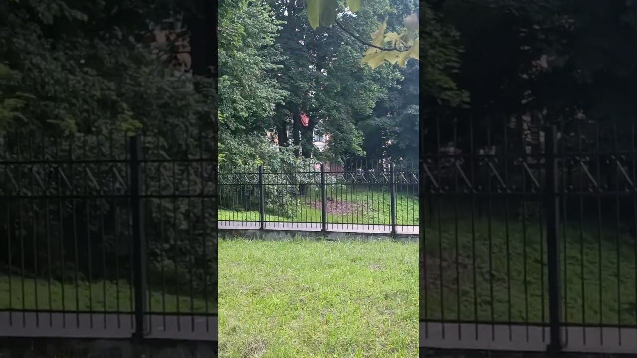 Калининградская ностальгия: железная дорога к Южному вокзалу. 14 июля 2026