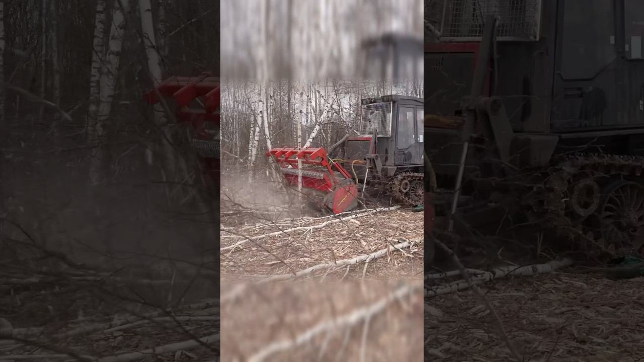 13 млн руб в Лизинг МУЛЬЧЕР с Seppi 89261385927 мульчер ротоватор farming seppi лэп расчистка