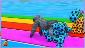 3D‑приключение: скользим вместе с динозавром и зверятами!